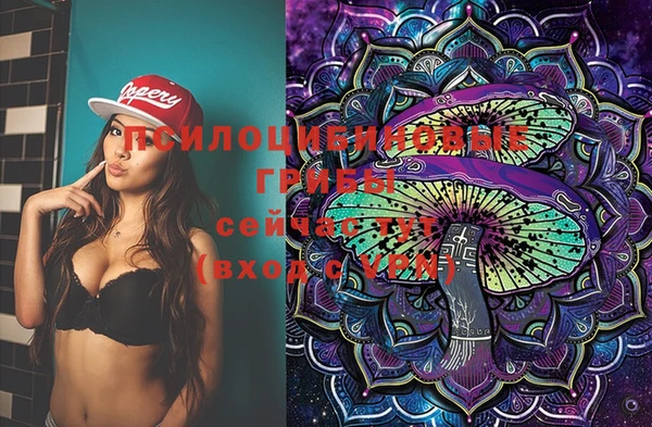 дмт Вязники
