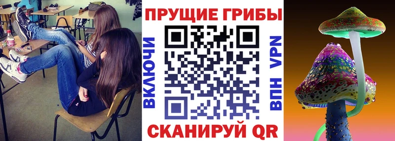 Галлюциногенные грибы мухоморы  Муром 