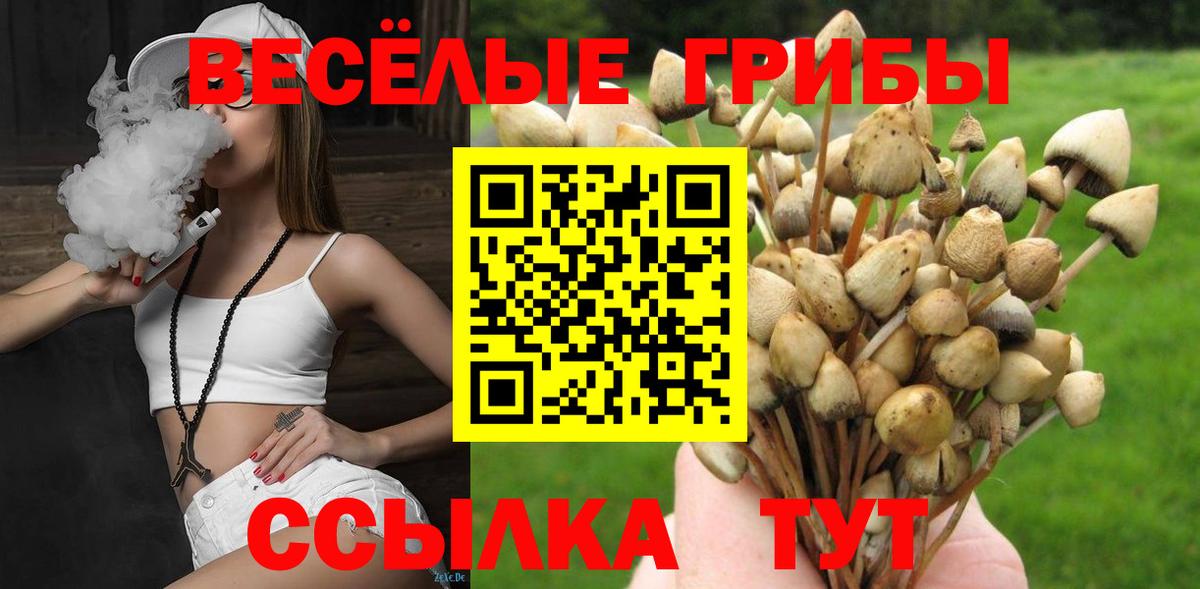 Галлюциногенные грибы мухоморы Муром